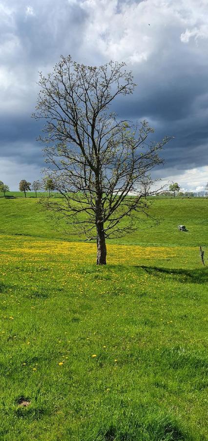 Zum Elleblick Daire Frauenstein  Dış mekan fotoğraf