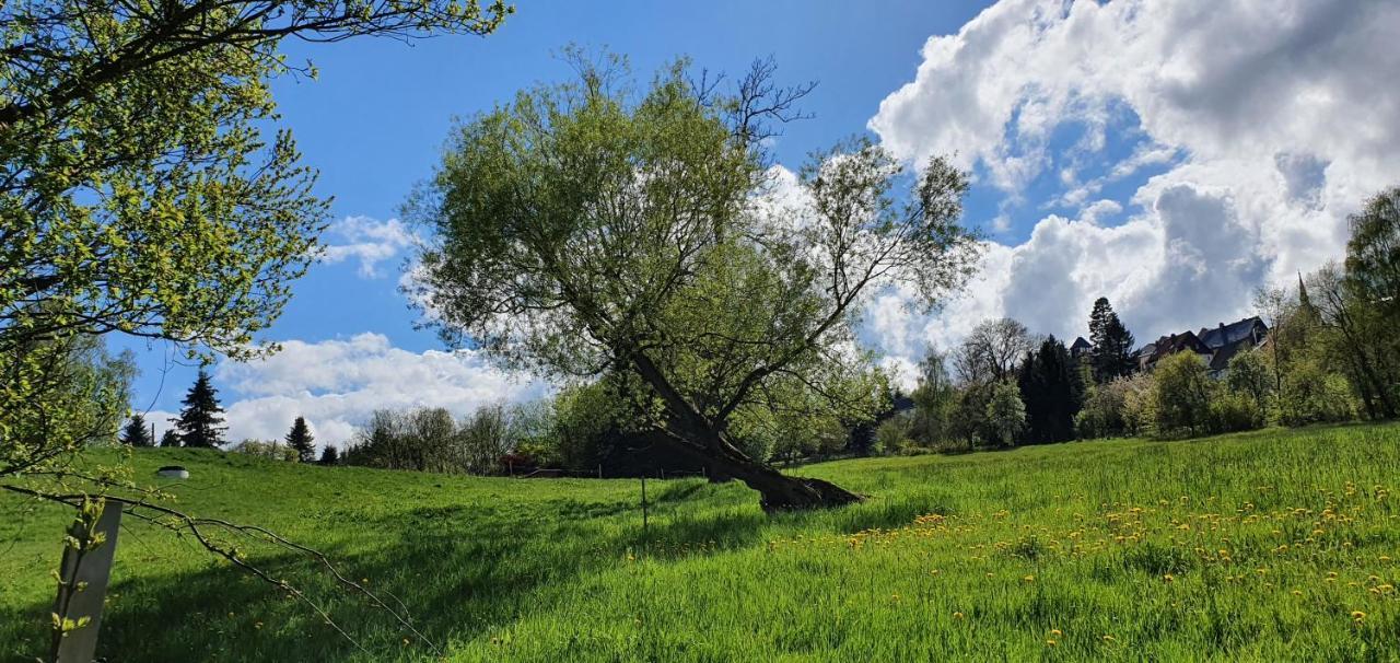 Zum Elleblick Daire Frauenstein  Dış mekan fotoğraf