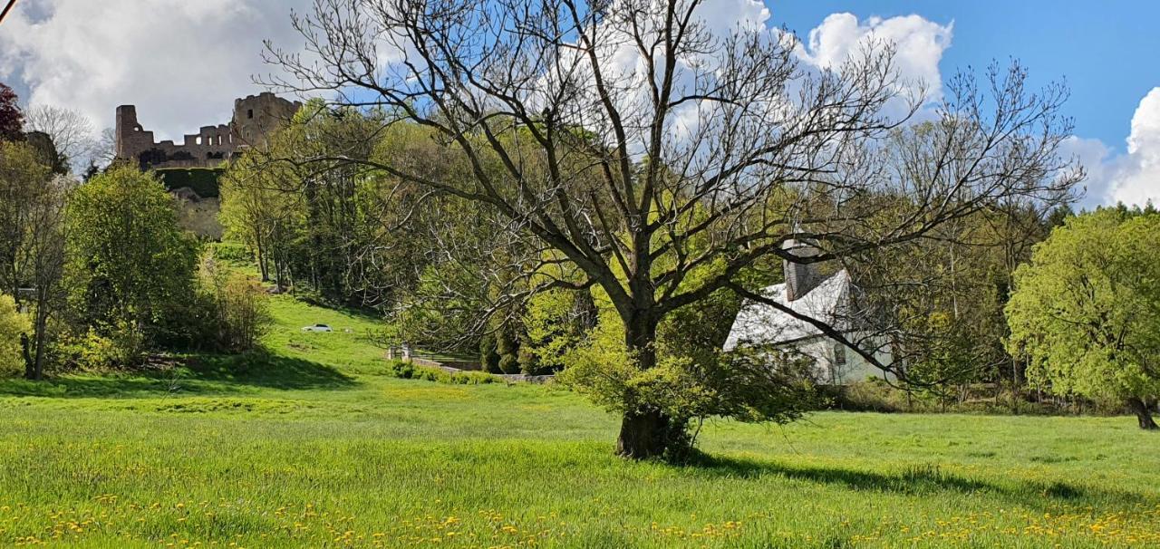 Zum Elleblick Daire Frauenstein  Dış mekan fotoğraf