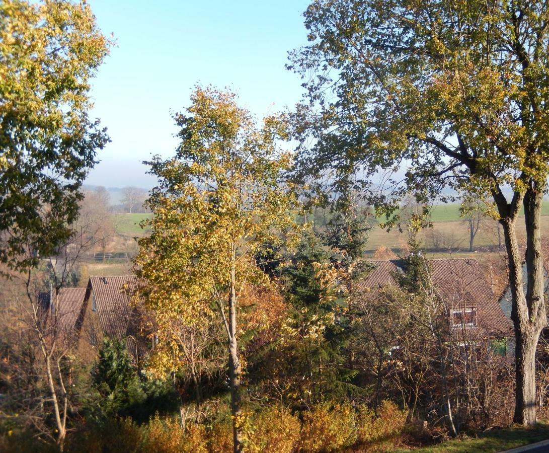 Zum Elleblick Daire Frauenstein  Dış mekan fotoğraf